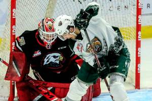 Everett's Niko Huuhtanen works a rebound with Portland's Dante Glannuzzi defending Saturday evening at the Angel of the Winds Arena on January 1, 2022. (Kevin Clark / The Herald)