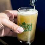 A beer is poured at UpperLeft Beerfest on Aug. 24, 2019 in Everett. (Olivia Vanni / The Herald)