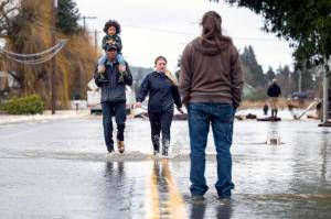 Reggie Brown, of Centralia, carries his daughter, Ocean, 4, on his shoulders as he walks through the floodwaters on Highway 507 with his wife, Jonell Brown, on Friday in Centralia. The highway had flooded after heavy rains caused the Skookumchuck River to rise about its northern banks. (Peter Caster/The News Tribune via AP)