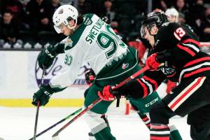 Everett's Alex Swetlikoff against the Portland Winterhawks Saturday evening at the Angel of the Winds Arena on January 1, 2022. (Kevin Clark / The Herald)