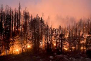 FILE - Trees scorched by the Caldor Fire smolder in the Eldorado National Forest, Calif., Friday, Sept. 3, 2021. The Biden administration wants to thin more forests and use prescribed burns to reduce catastrophic wildfires as climate changes makes blazes more intense. (AP Photo/Jae C. Hong, File)