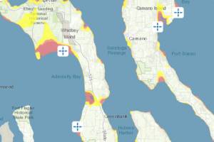 Section of a tsunami high ground map. (Island County)