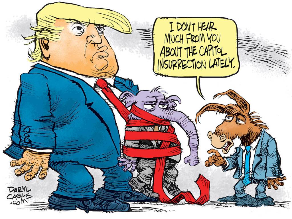 toon