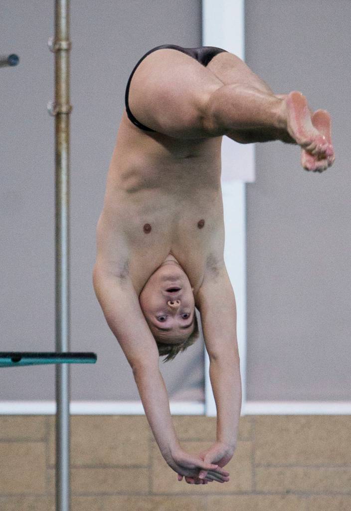 Standout senior diver Jaden Cardona is having another exceptional season for Lake Stevens. (Olivia Vanni / The Herald)