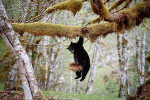 First Place, Flora and Fauna: Chett Carpenter