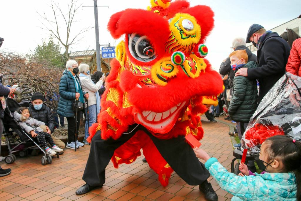 Members of Master David F. Leong Dragon and Lion Dance Group bring in the Lunar New Year in Edmonds on Saturday. (Kevin Clark / The Herald)
