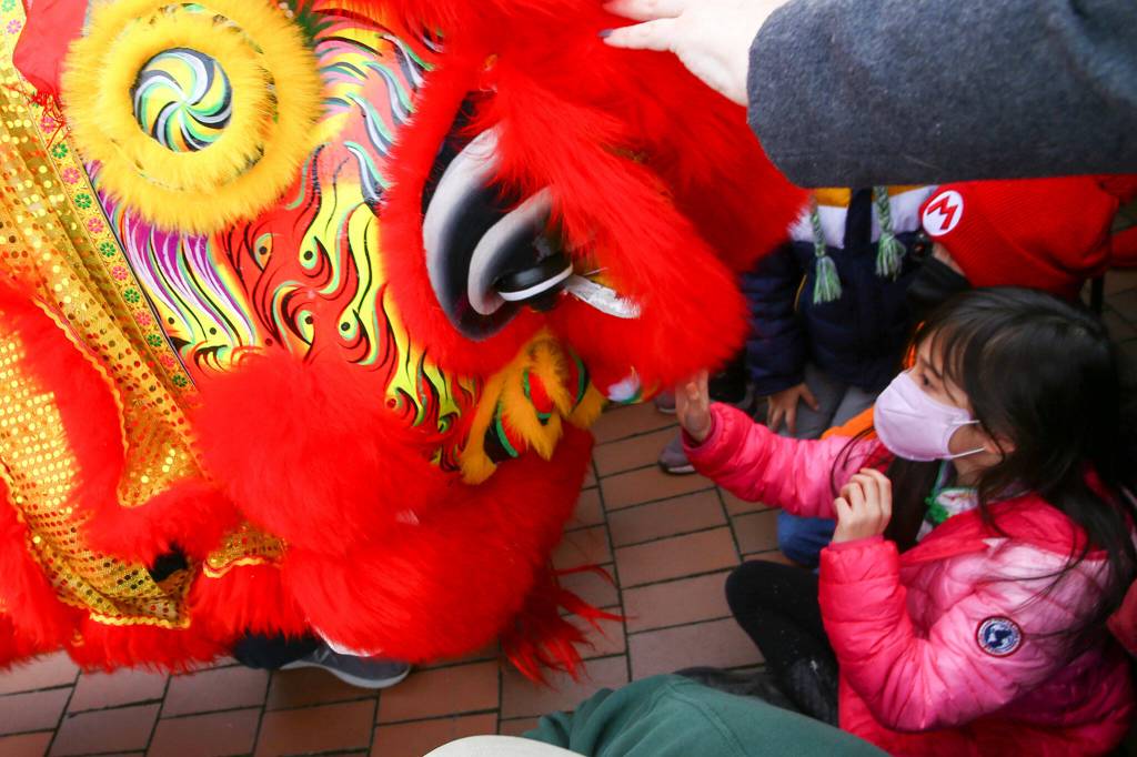 Members of Master David F. Leong Dragon and Lion Dance Group bring in the Lunar New Year in Edmonds on Saturday. (Kevin Clark / The Herald)