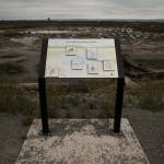 A new informational sign identifies wildlife at Leque Island near Stanwood. (Andy Bronson / The Herald)