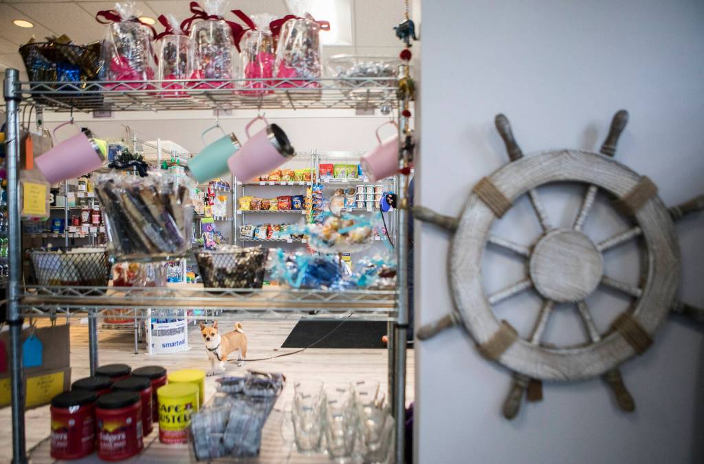 Dogs are welcome at Monkey Fist Market near the Port of Everett. (Olivia Vanni / The Herald)