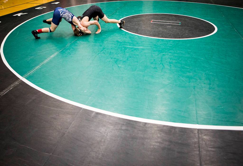 Glacier Peak and Jackson wrestlers compete during a 4A sub-regional match on Saturday at Henry M. Jackson High School in Mill Creek. (Olivia Vanni / The Herald)