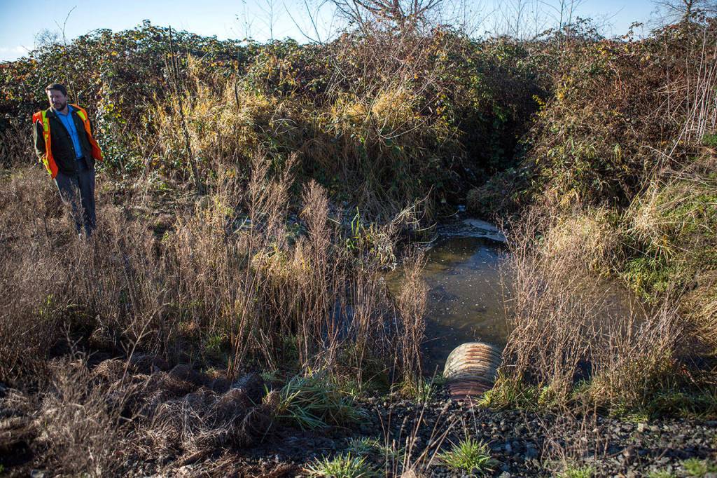 A culvert (lower right) along Edgecomb Creek in Arlington in 2018. A transportation package proposal from Democrats includes $2.4 billion for fish barrier removal like this project. (Olivia Vanni / Herald file)