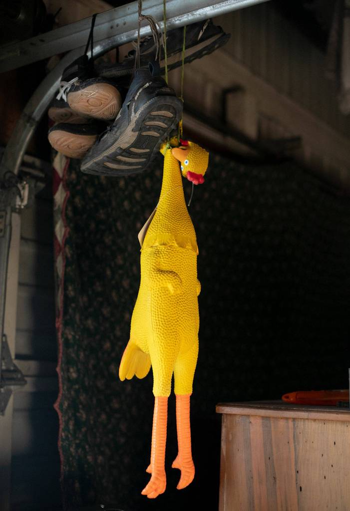 A rubber chicken, which became a symbol for the Dinsmores Hiker Haven, hangs from a garage door track in Baring. (Ryan Berry / The Herald)