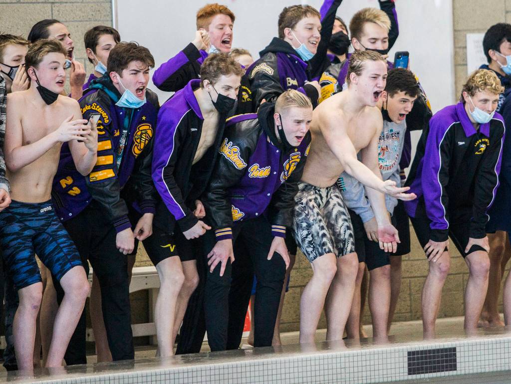 Lake Stevens swimmers cheer on their teammates during the 400 Yard Freestyle Relay at the 4A Boys Districts swim meet on Saturday, Feb. 12, 2022 in Snohomish, Wa. (Olivia Vanni / The Herald)