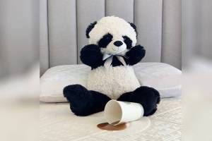 The best way to clean a mattress is not to get a stain in the first place by using a liquid-proof mattress protector, advise the team at ESC Mattress. After all, it’s much easier to keep a mattress clean than to go in and clean the mattress itself.