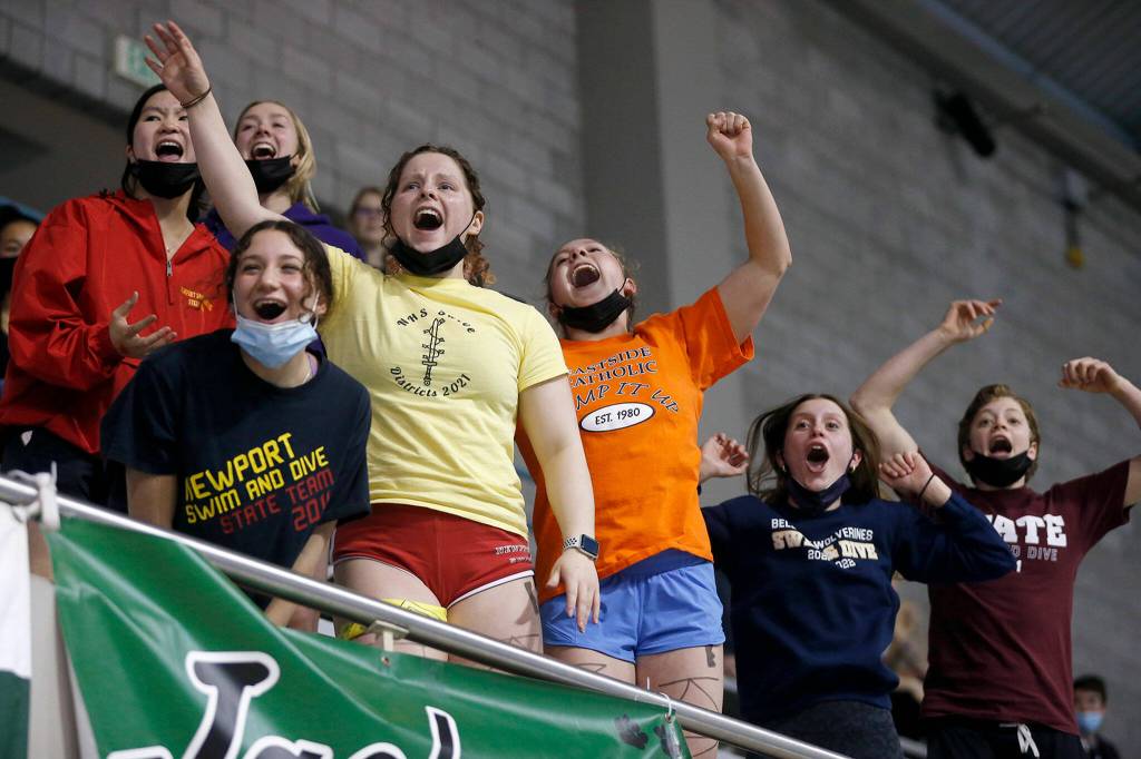 Fans cheer during the final race of the WIAA 4A Boys Swimming Championship on Saturday at the King County Aquatic Center in Federal Way. (Ryan Berry / The Herald)