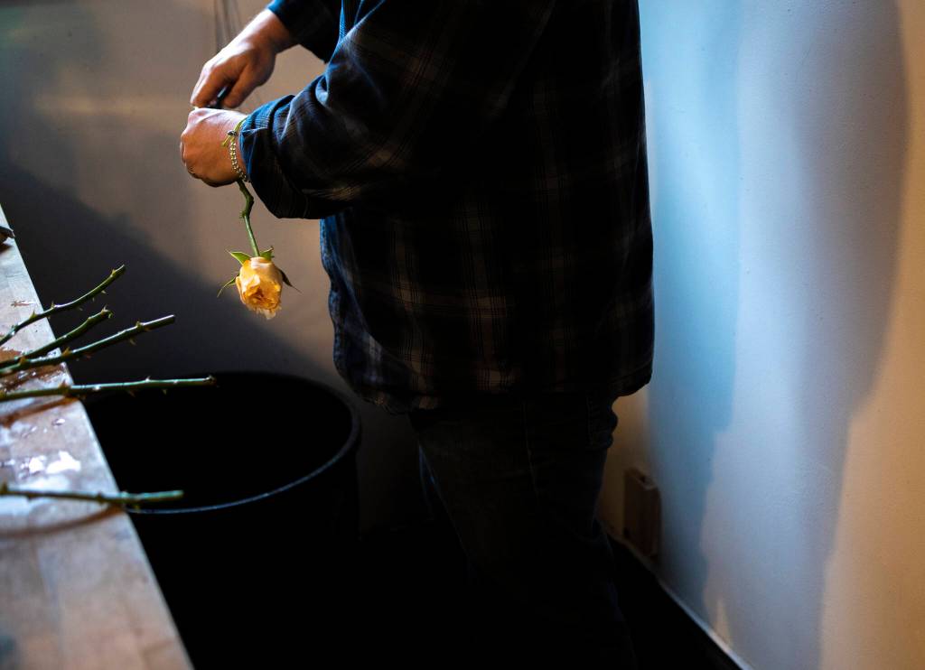 K.C. Morgan trims the excess length off a rose while processing flowers at FIELD in Edmonds. (Olivia Vanni / The Herald)