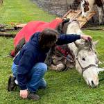 Blaze is reunited with his owners after being pulled from the well. (Photo provided)