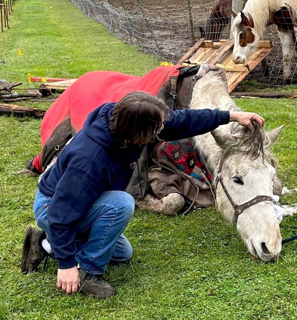 Blaze is reunited with his owners after being pulled from the well. (Photo provided)