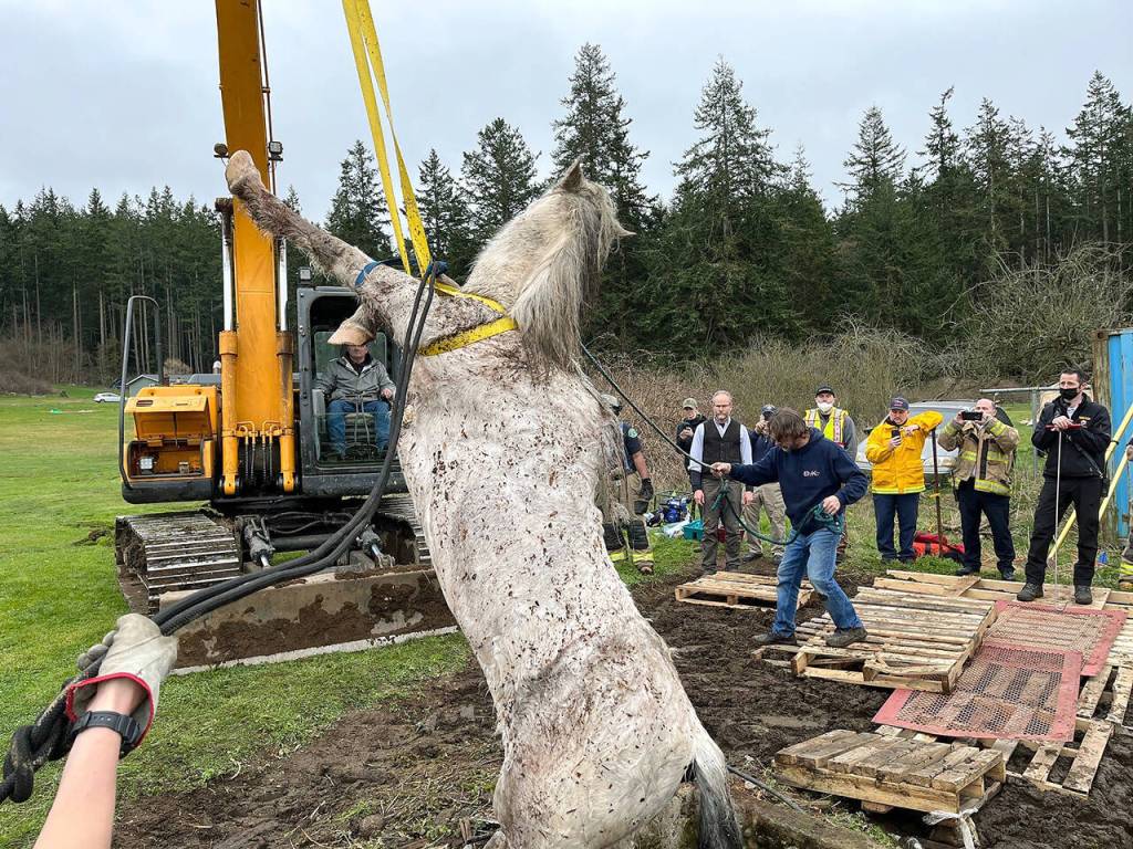 Responders hoist Blaze from the well. (Photo provided)