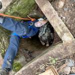 Responders are lowered into the well to sedate Blaze and secure him with straps from extraction. (Photo provided)