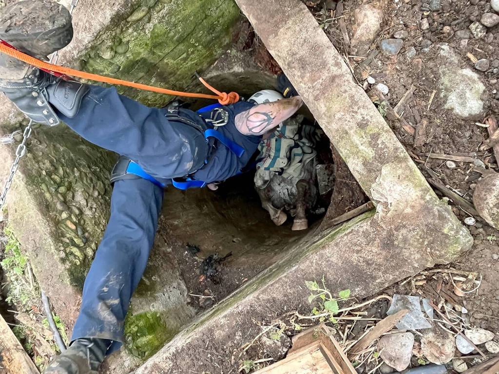 Responders are lowered into the well to sedate Blaze and secure him with straps from extraction. (Photo provided)