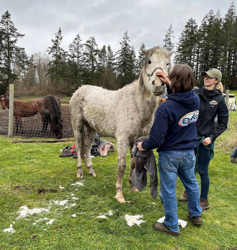 Blaze is reunited with his owners after being pulled from the well. (Photo provided)