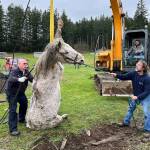 Responders hoist Blaze out of the well with an excavator. (Photo provided)