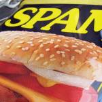 FILE - In this Aug. 20, 2009 file photo, a can of Spam is shown on a counter in North Andover, Mass. To honor Spam lovers in Hawaii, Hormel Foods will release a new flavor, Portuguese sausage Spam, exclusively for the state at a street festival on Saturday, May 2, 2015 in Honolulu. The flavor, which will be available to sample at the event, may eventually be sold elsewhere in the region and internationally. (AP Photo/Elise Amendola, File)