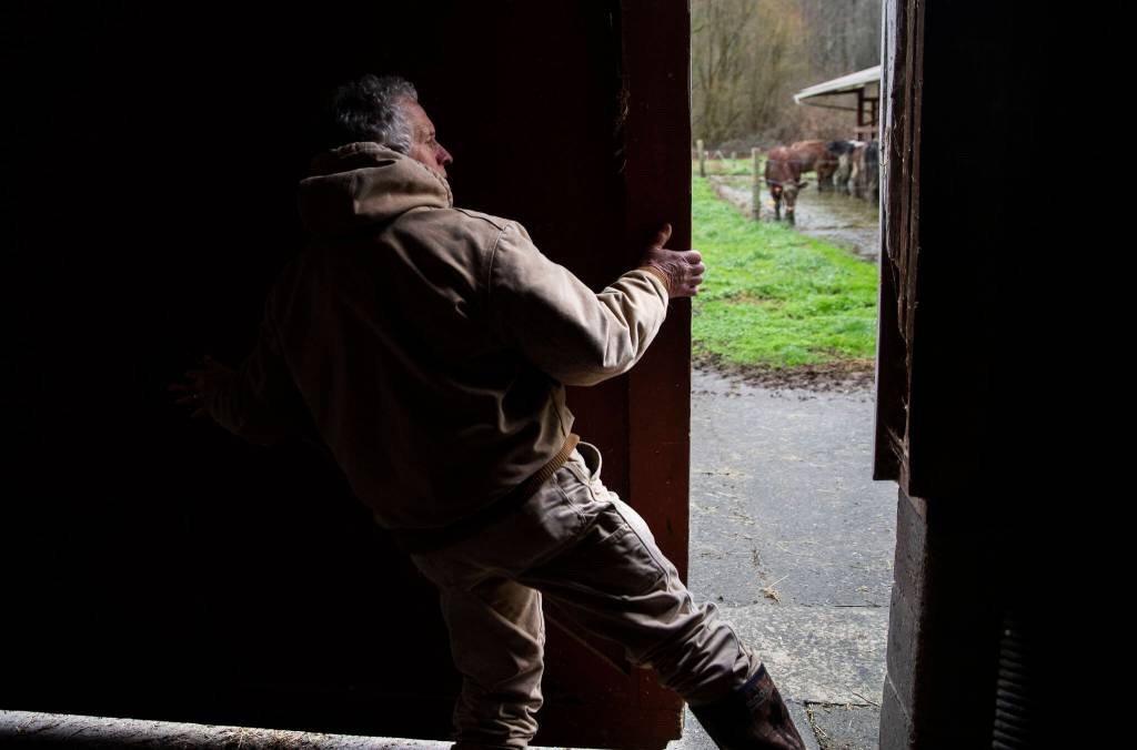 John Connolly opens his barn door Tuesday in Arlington. (Olivia Vanni / The Herald)
