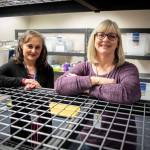 Family Resource Center support assistant Conchita Chinchilla (left) and resource coordinator Lyn Lauzon ( right) at the new Family Resource Center in Hawthorne Elementary on Friday in Everett. (Olivia Vanni / The Herald)