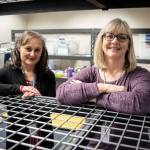 Family Resource Center support assistant Conchita Chinchilla, left, and resource coordinator Lyn Lauzon, right, at the new Family Resource Center in Hawthorne Elementary on Friday, March 18, 2022 in Everett, Washington. (Olivia Vanni / The Herald)