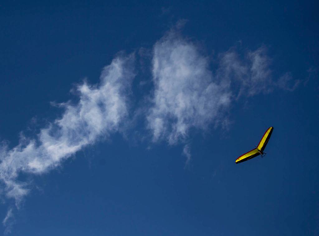 A hang glider flies over Howarth Park on March 9 in Everett. (Olivia Vanni / The Herald)
