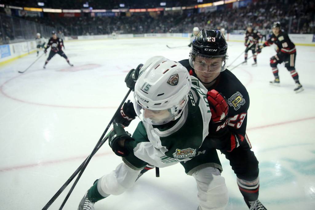 The Everett Silvertips Ryan Hofer tries to protect the puck against the glass against the Portland Winterhawks Saturday, March 26, 2022, at Angel of the Winds Arena in Everett, Washington. (Ryan Berry / The Herald)