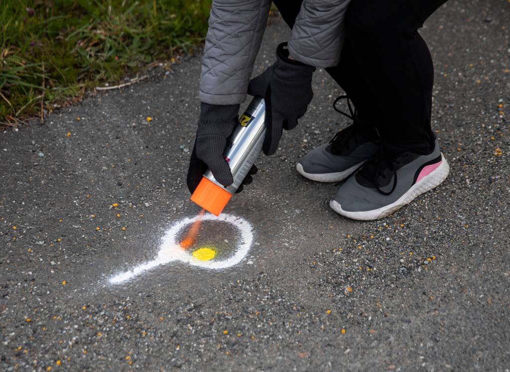 Frances Philbin spray paints an orange dot inside a Dan Henry directional mark along Juniper Beach Road on Sunday, April 10, 2022 in Camano Island, Washington. (Olivia Vanni / The Herald)