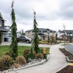 Brier, which largely consists of single family homes, is mostly reliant on property tax. (Lizz Giordano/Crosscut)