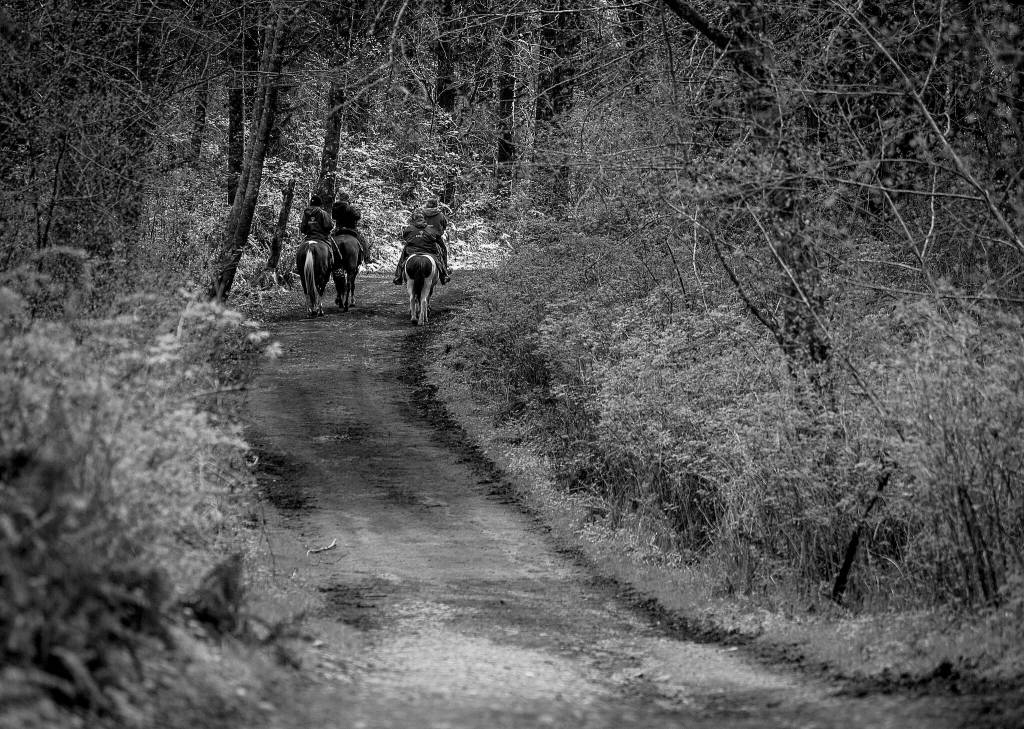 A group of horseback riders navigate the Main Trail at Lord Hill Park on Thursday, April 14, 2022 in Snohomish, Washington. (Olivia Vanni / The Herald)