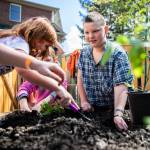 JR Stalkfleet (left) digs a hole for a tomato plant in the new outdoor classroom at Tomorrows Hope Child Development Center on April 22 in Everett. (Olivia Vanni / The Herald)