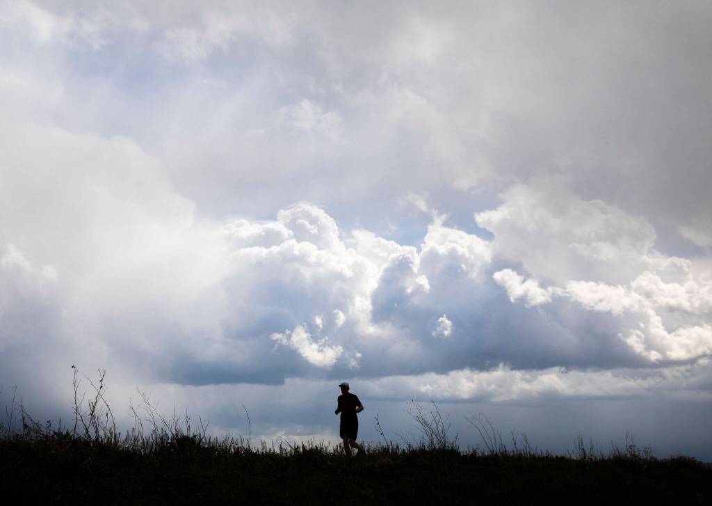 A man runs along path on Spencer Island on April 5 in Everett. (Olivia Vanni / The Herald)