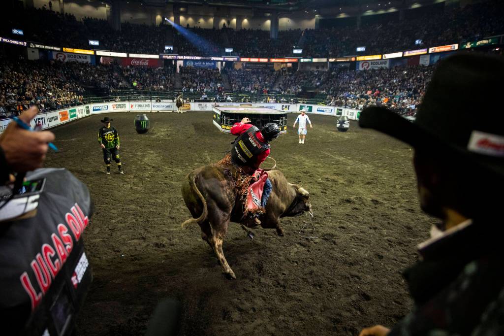 Silvano Alves rides his bull into the arena as the chute opens during the PBR Everett Invitational at Angel of the Winds Arena on Wednesday, April 6, 2022 in Everett, Washington. (Olivia Vanni / The Herald)