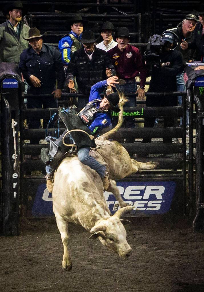 João Ricardo Vieira is cheered on while he rides his bull in the championship round during the PBR Everett Invitational at Angel of the Winds Arena on Wednesday, April 6, 2022 in Everett, Washington. (Olivia Vanni / The Herald)