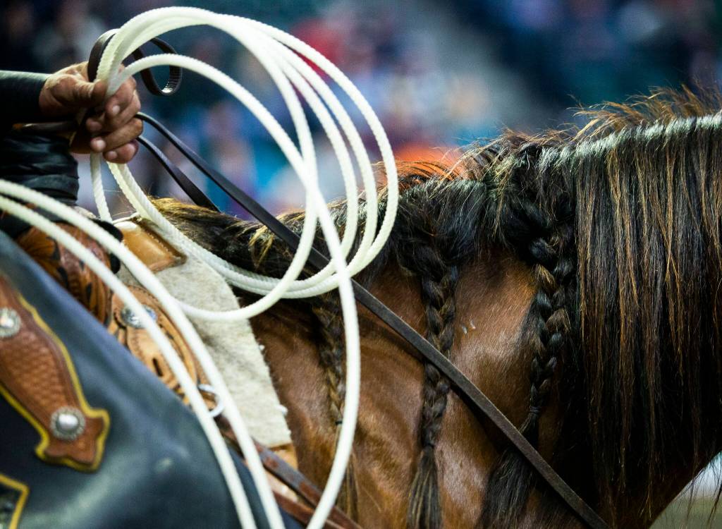 Back up to the bull riders wait along the perimeter of the ring during the PBR Everett Invitational at Angel of the Winds Arena on Wednesday, April 6, 2022 in Everett, Washington. (Olivia Vanni / The Herald)