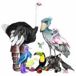 Sorensen uses colored pencils and his imagination for Birds in Shoes, his limitless series of whimsical birds wearing everything from Birkenstocks to galoshes. (Jim Sorenson)