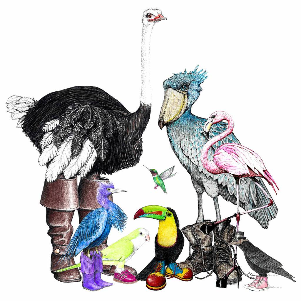 Sorensen uses colored pencils and his imagination for Birds in Shoes, his limitless series of whimsical birds wearing everything from Birkenstocks to galoshes. (Jim Sorenson)