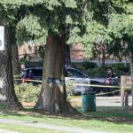 Police officials investigate a shooting at Daleway Park Tuesday afternoon in Lynnwood on April 4, 2022.   (Kevin Clark / The Herald)