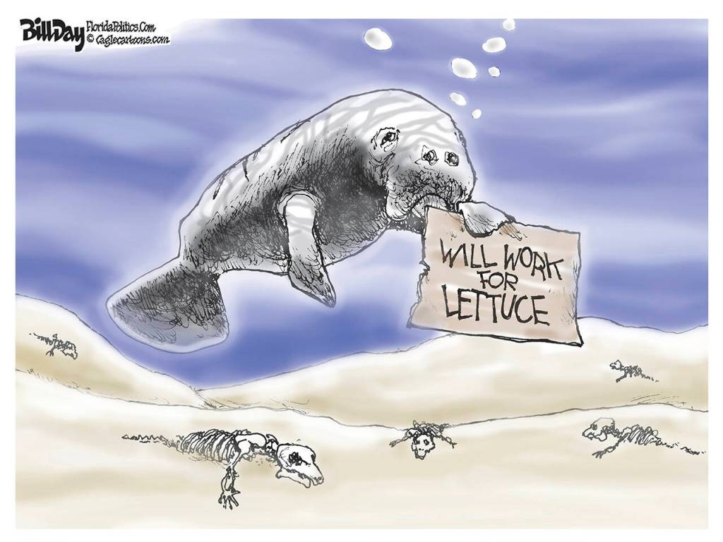 toon