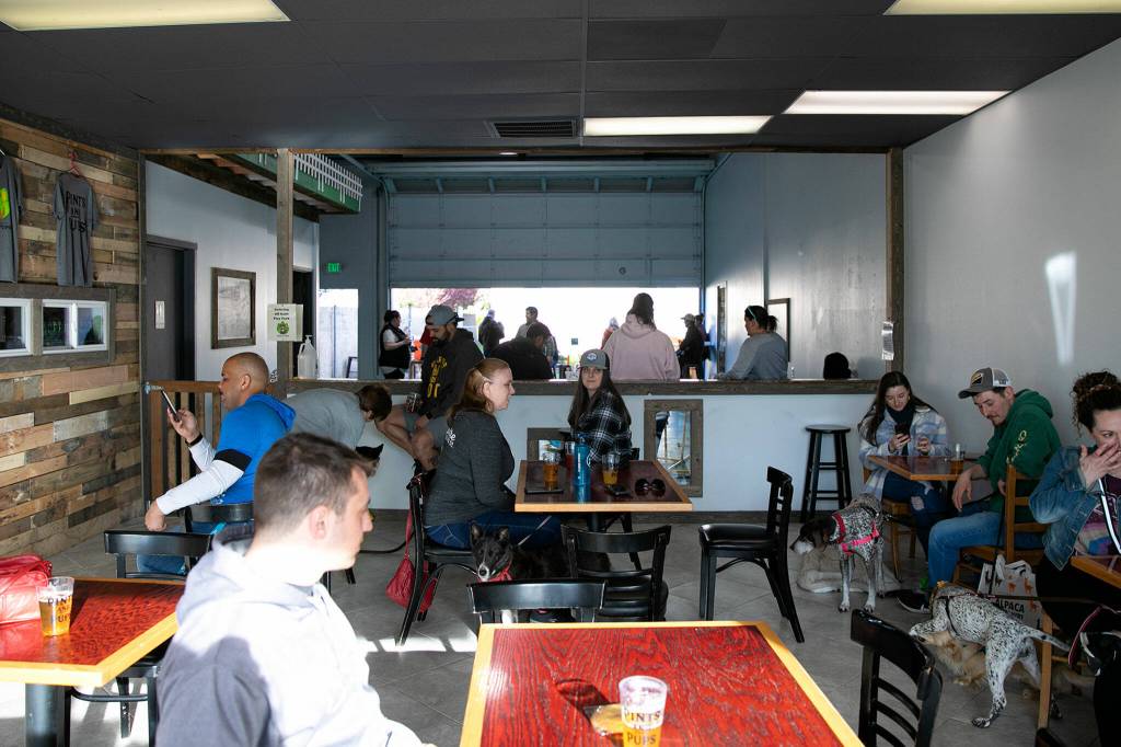 The taproom (front) provides seating, while the off-leash area in the back provides space for dogs to roam indoors and out at Pints and Pups in Everett. (Ryan Berry / The Herald)