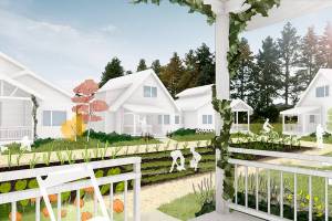 An artistic rendering of Sunnyside Village Cohousing in Marysville. (Sunnyside Village Cohousing)