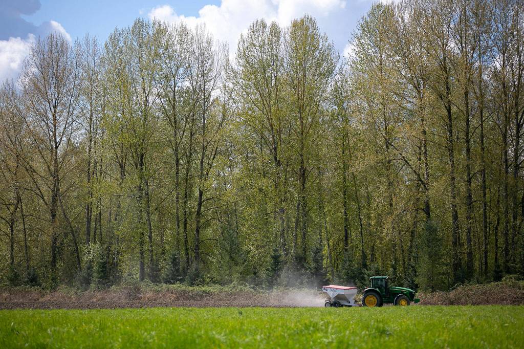 Andrew Albert fertilizes a field owned by the city of Arlington on Friday. (Ryan Berry / The Herald)