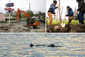 Herald photographers are out and about, capturing scenes from across Snohomish County.