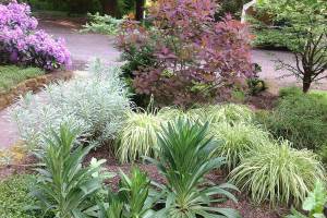 Photo courtesy of Stephanie Werskey | Folse Garden, one of five Bainbridge gardens open to the public Saturday, June 22 as part the Garden Conservancy’s Open Days program.